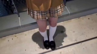 健康之路女仆2（新年之后会加快更新，兄弟们给点点赞）